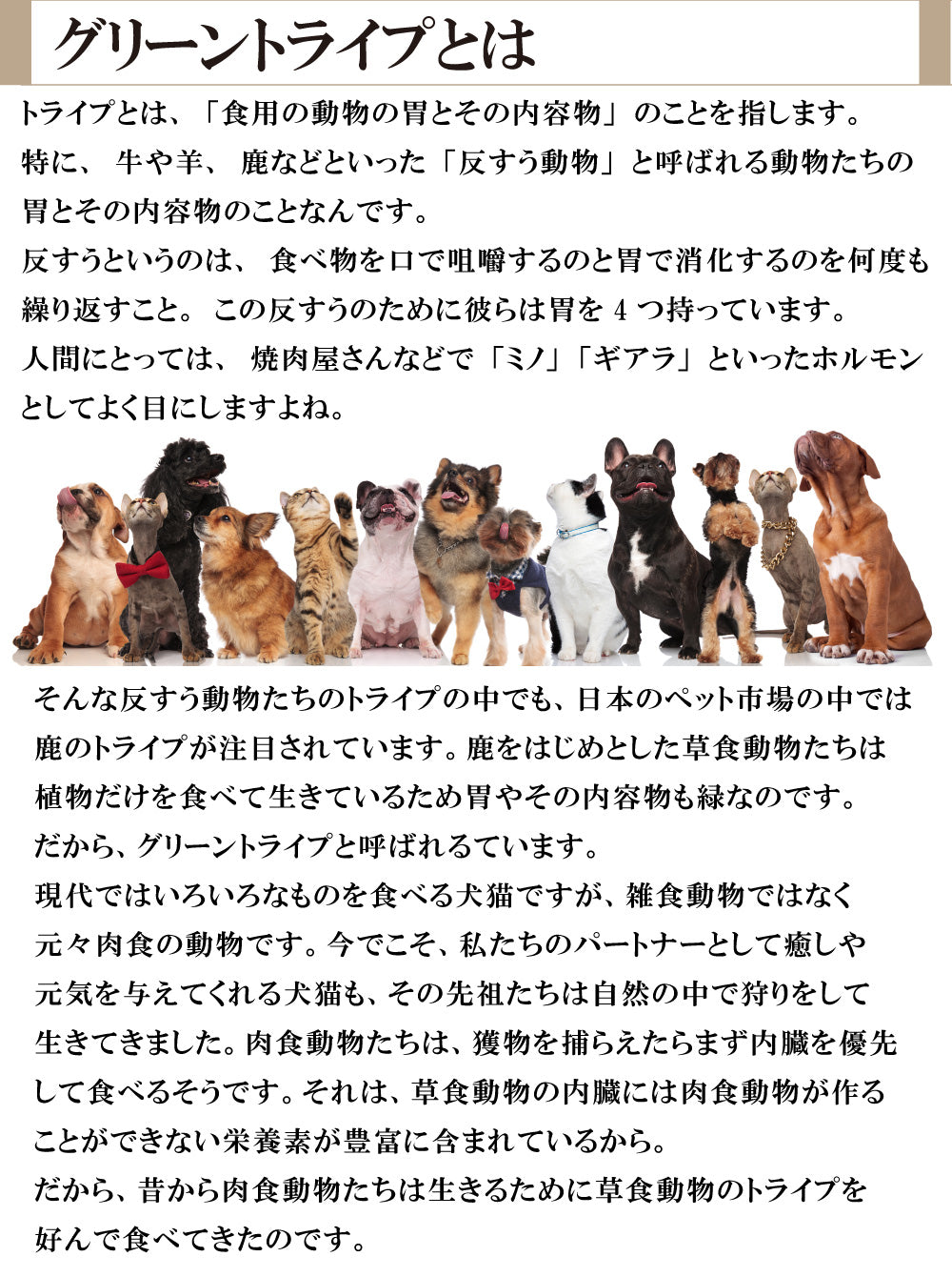 熟成エゾ鹿肉【グリーントライプ】【130g袋】